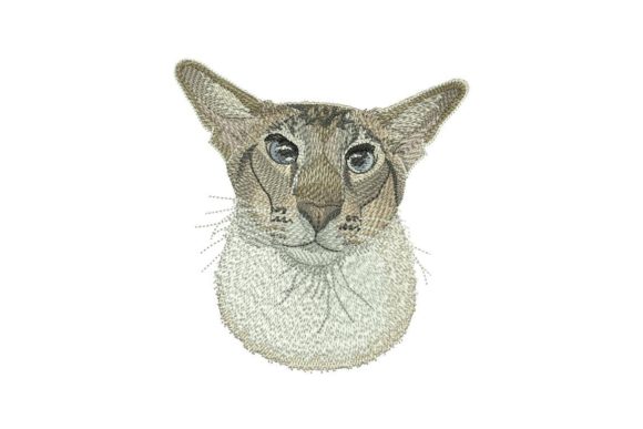 Oriental Cat Embroidery Review